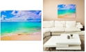 Trademark Global Preston 'Maho Beach' Canvas Art - 47" x 35"